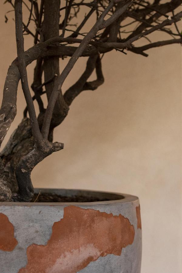 Taller De Juan - Casa Hotel San Cristóbal de Las Casas Kültér fotó